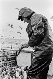 SIN 59 Kungsö på Östersjön i maj 1967